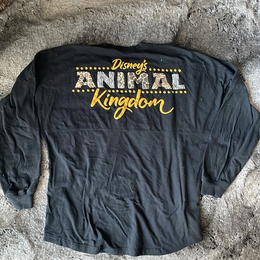 Disney Spirit Jersey